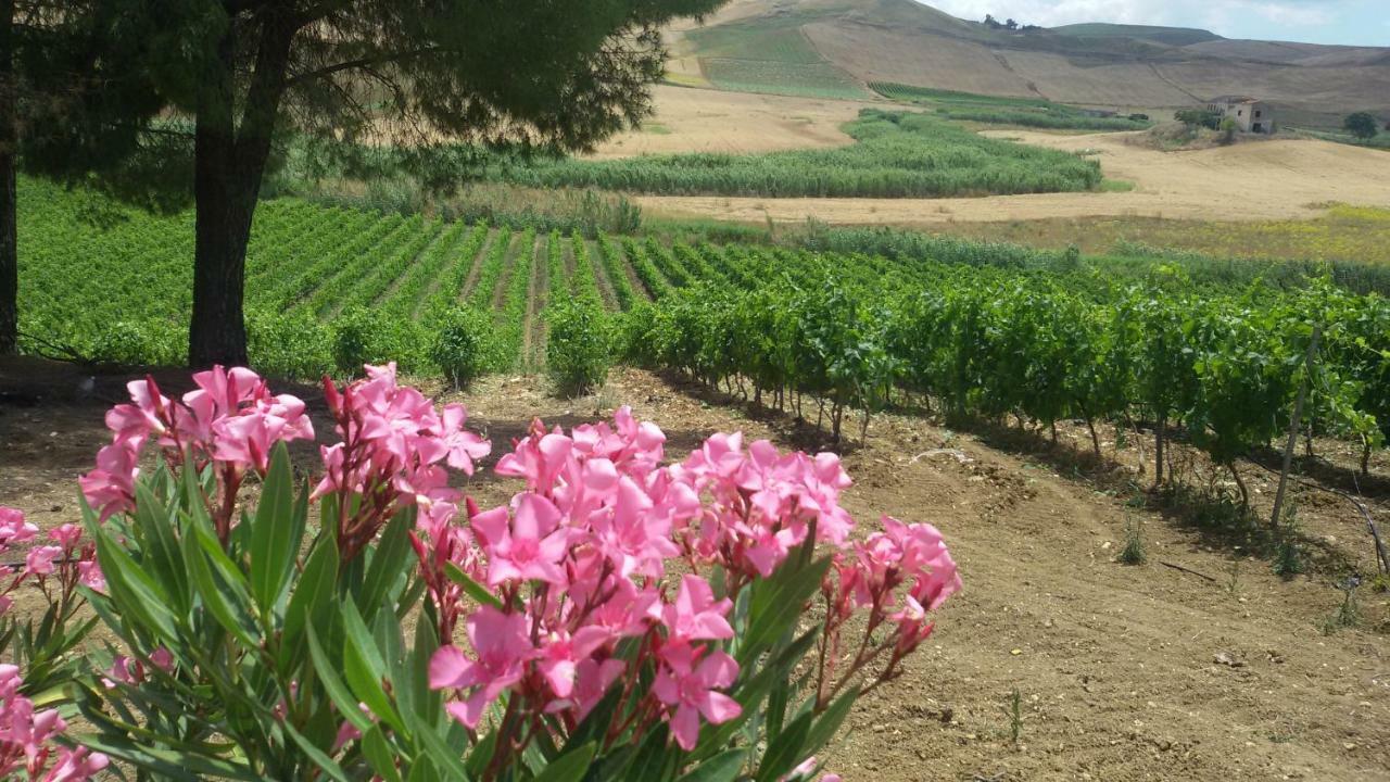 Bed and Breakfast Terre Di Gratia Camporeale Exterior foto